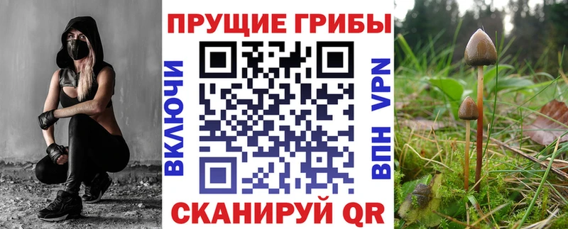 Псилоцибиновые грибы мицелий  гидра ТОР  даркнет Telegram  Белогорск 