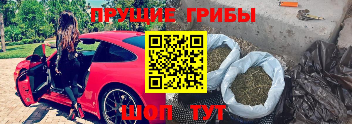 Белогорск  Псилоцибиновые грибы мицелий  Вход с VPN 