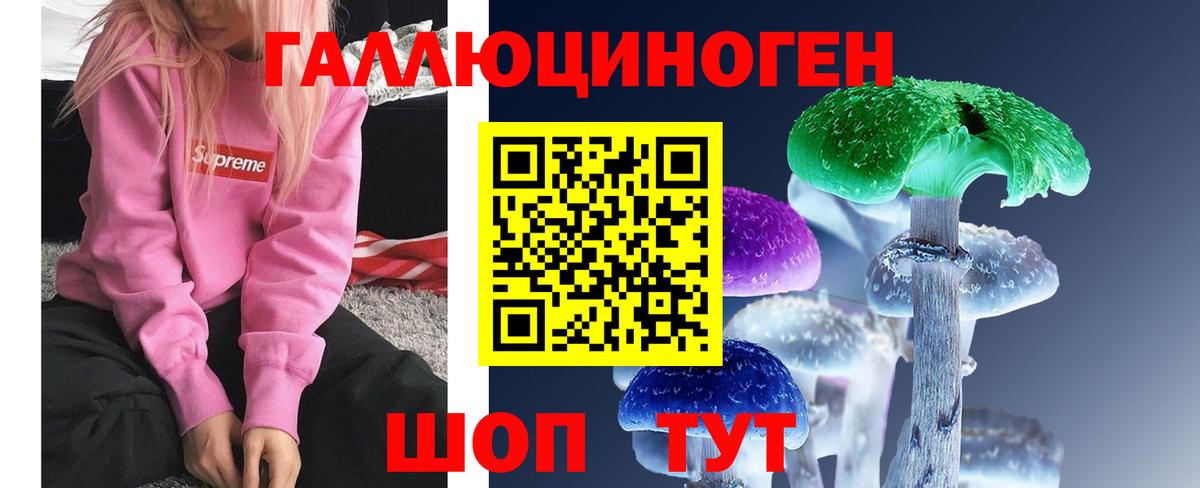 Псилоцибиновые грибы Psilocybine cubensis Белогорск